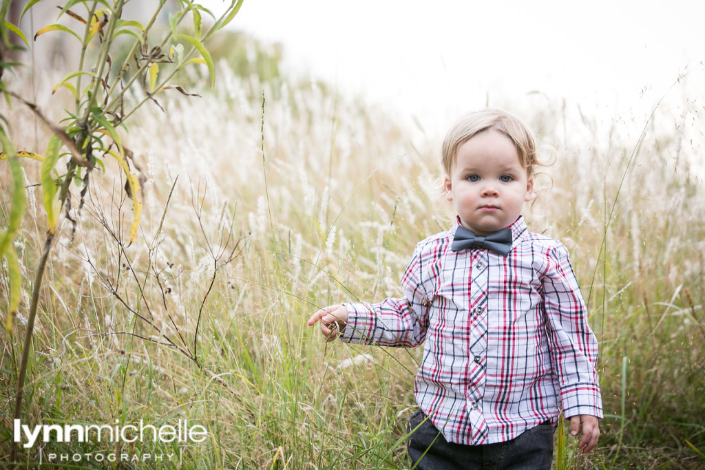 bow tie toddler in field dallas